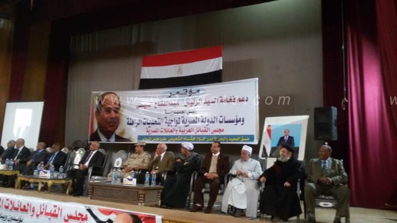 جانب من المؤتمر بقنا