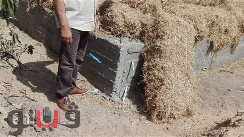 البناء المتعدى