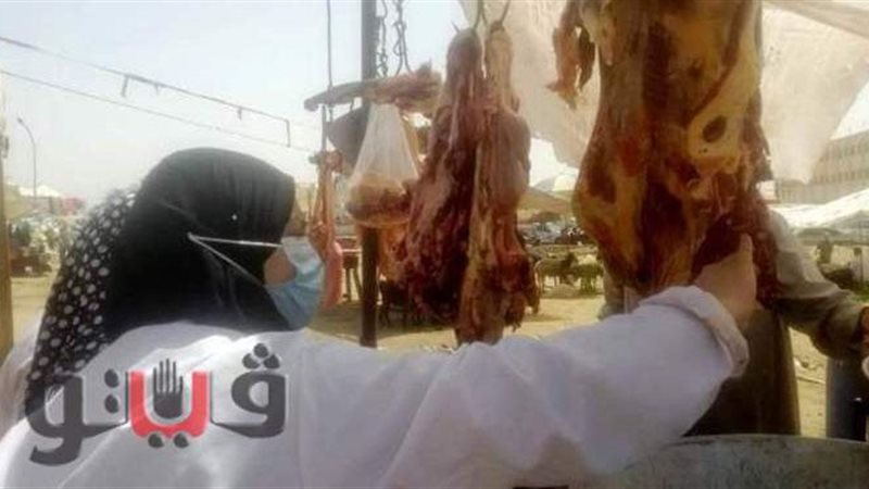 جانب من المضبوطات