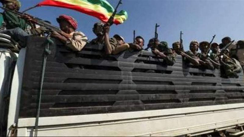 جبهة تحرير تجراي