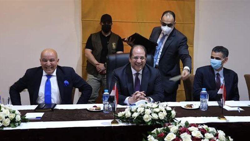 جهود مصرية كبيرة