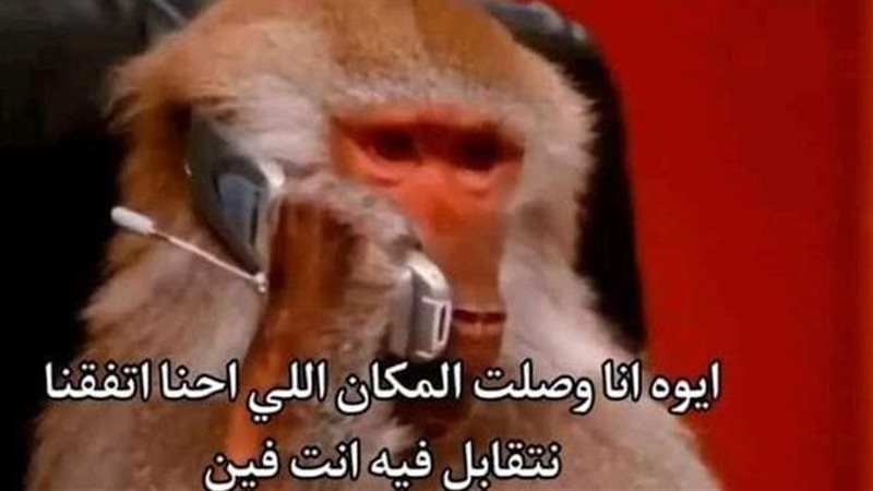 قصة أشهر ميم ساخرة