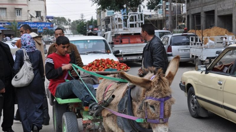 صورة ارشيفية