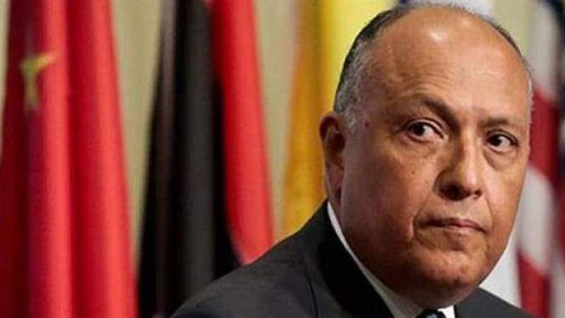 سامح شكري وزير الخارجية