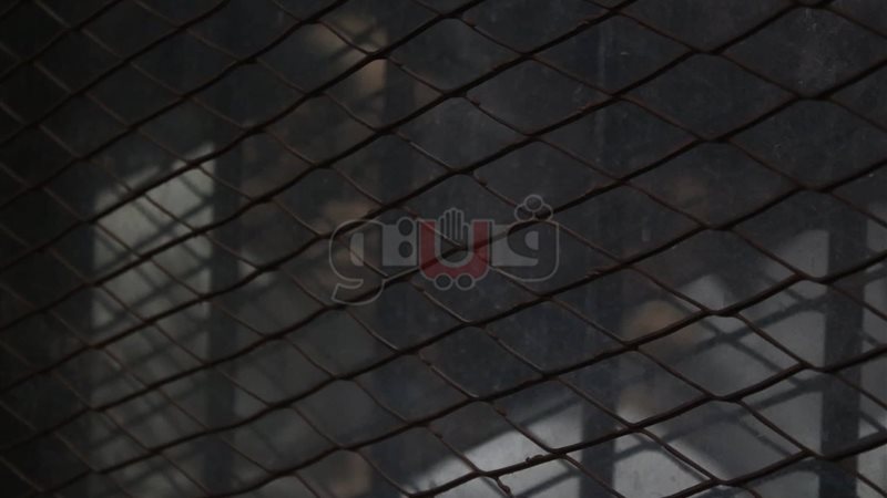 فيتو