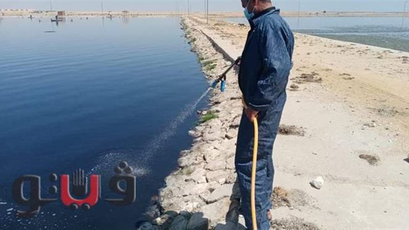 اثناء مقاومة اليرقات