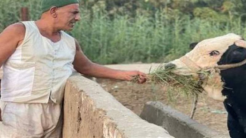 محمد لطفي في مسلسل