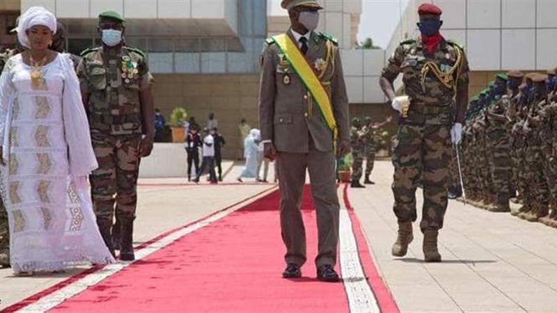 رئيس مالي المؤقت