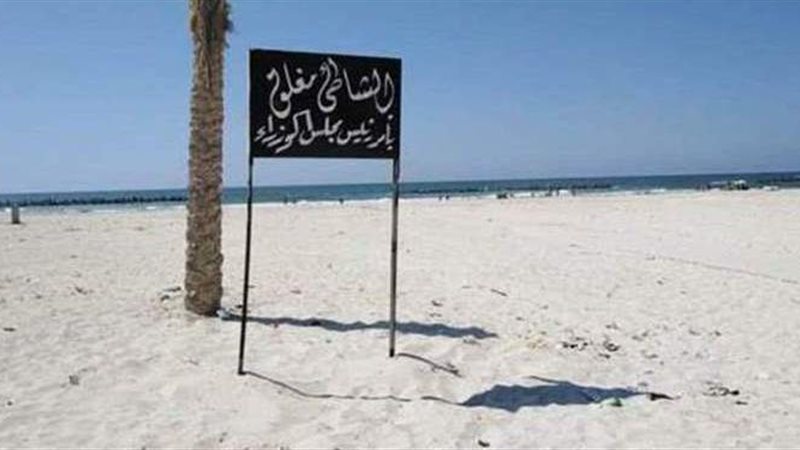 شاطئ النخيل