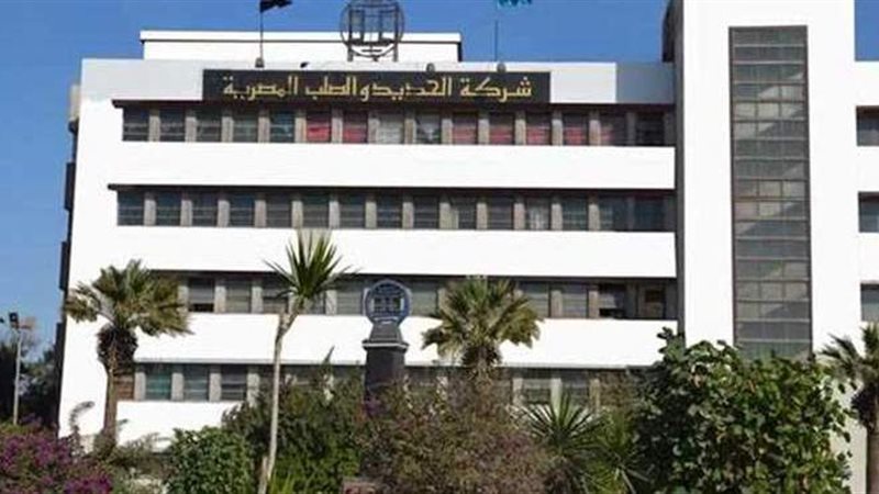 شركة الحديد والصلب