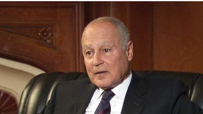 أحمد أبو الغيط الأمين