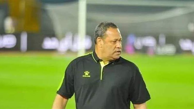 ضياء السيد