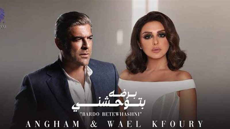 أنغام ووائل كافوري