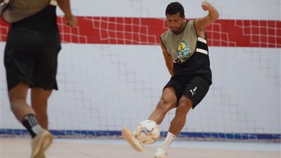 طارق حامد.. 