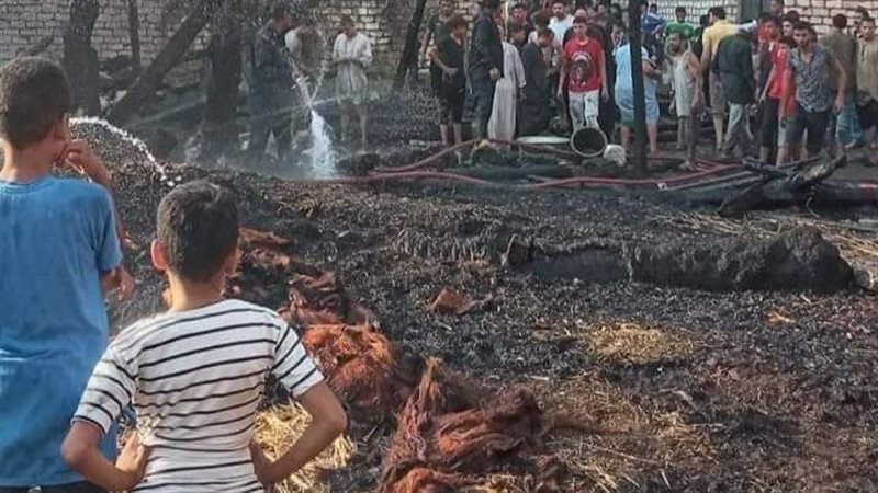 حريق اللاهون