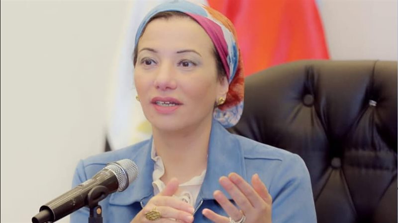 ياسمين فؤاد وزيرة