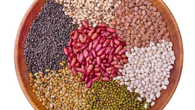 اسعار البقوليات اليوم