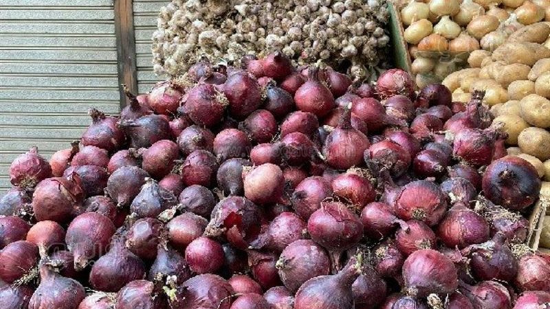اسعار الخضروات اليوم