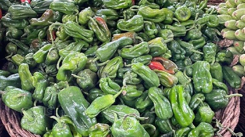 اسعار الخضروات اليوم