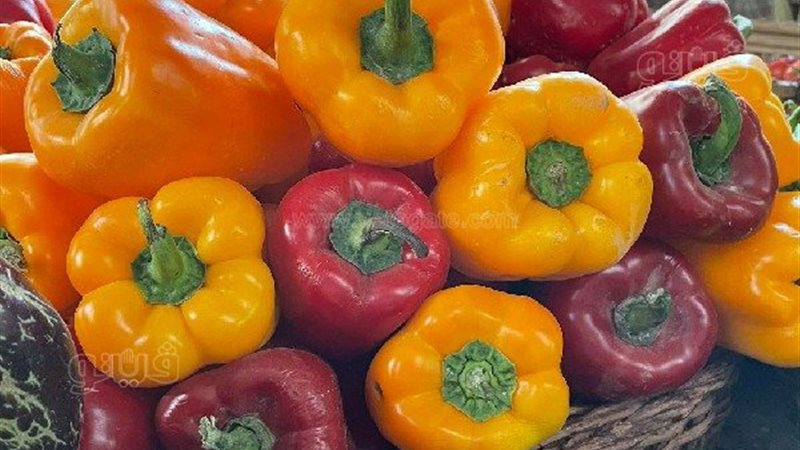 اسعار الخضروات اليوم