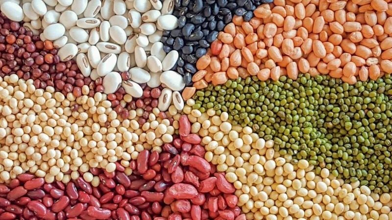 أسعار البقوليات اليوم