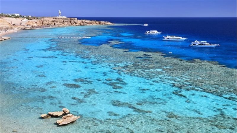 طقس مطروح