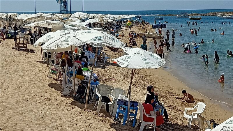 الاسكندريه