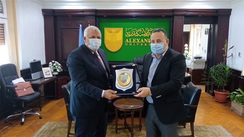 جامعة الإسكندرية
