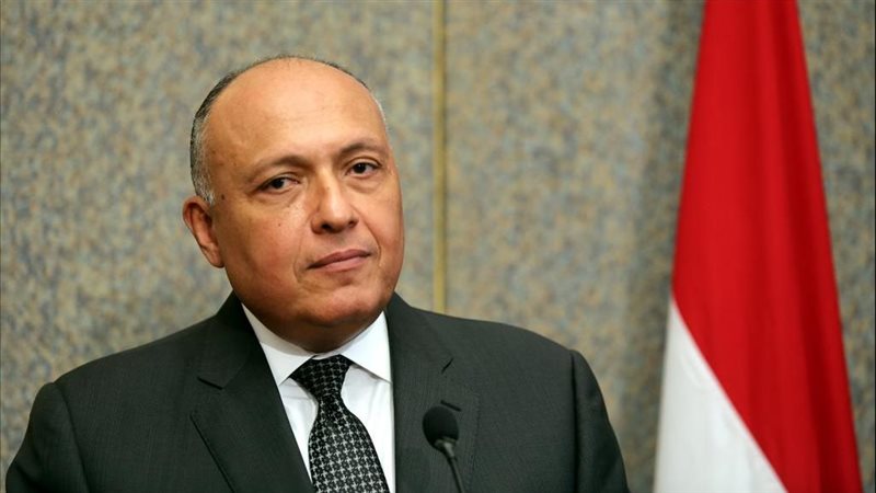 سامح شكرى وزير الخارجية