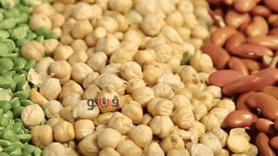 أسعار البقوليات اليوم الأربعاء 1 - 9 - 2021 في مصر 