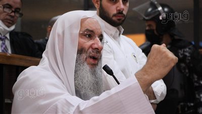 شهادة محمد حسان.. إذ تبرأ السلفيون من الإخوان | فيديو