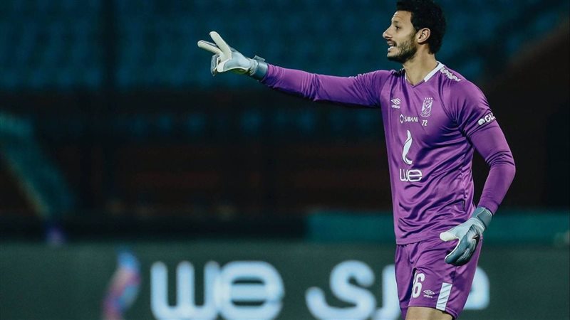 محمد الشناوي 