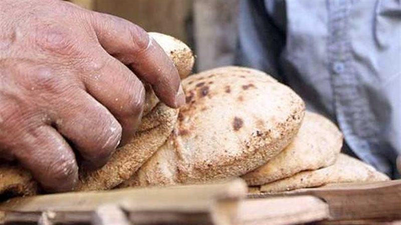تموين الإسكندرية
