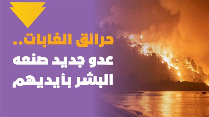 حرائق الغابات..عدو