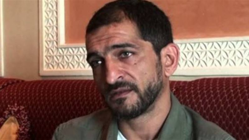 عمرو وأكد