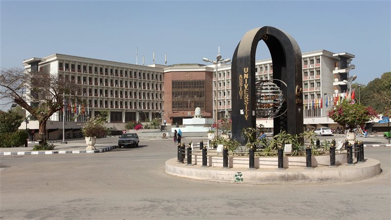 جامعة أسيوط 