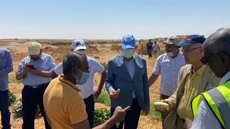 الدكتور محمد عبد