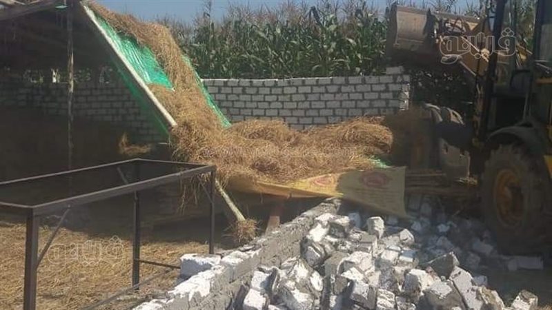 إزالة مزرعتي مواشٍ