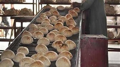 الفريضة الغائبة في 