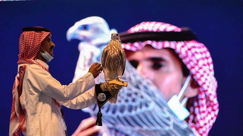 بيع 5 صقور إسبانية