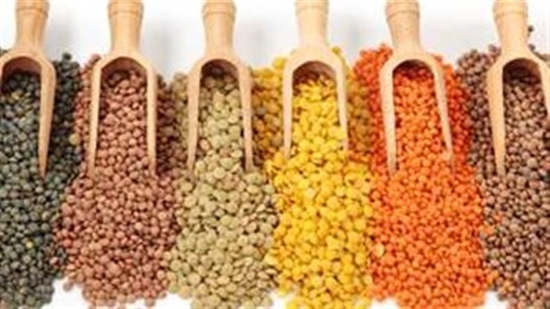 أسعار البقوليات 