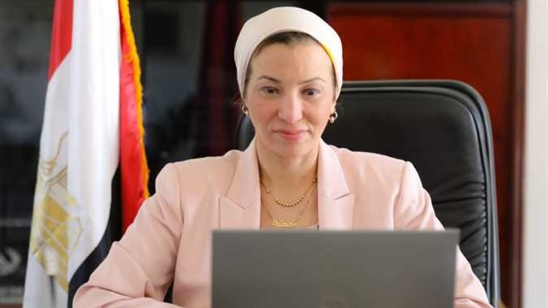 ياسمين فؤاد وزيرة