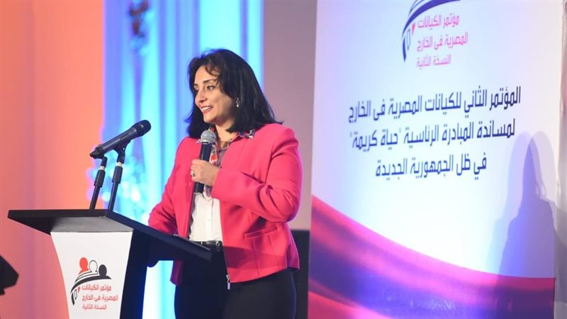 غادة شلبي نائب وزير