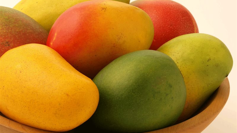 اسعار المانجو اليوم