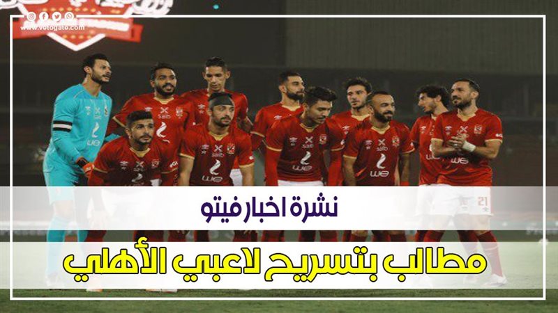 نشرة أخبار فيتو