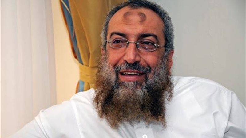 ياسر برهامي نائب