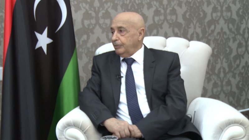  المستشار عقيلة صالح