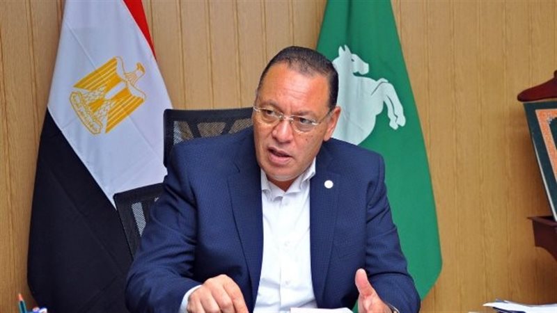 محافظ الشرقية