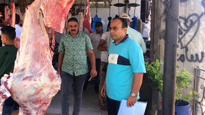 حملات مكبرة بالدقهلية