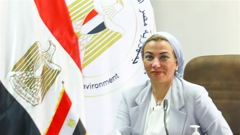 الدكتورة ياسمين فؤاد